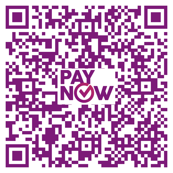 PayNow 收款码